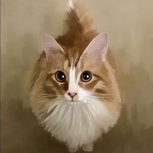 Meet your Posher, William